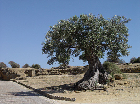 Sicílie Agrigento